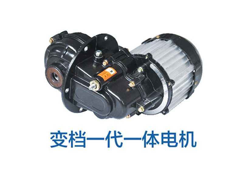 Electric motor