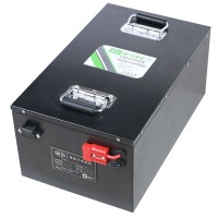 Low speed vehicle battery pack