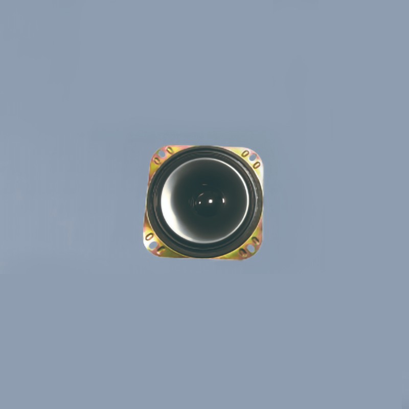 speaker-04