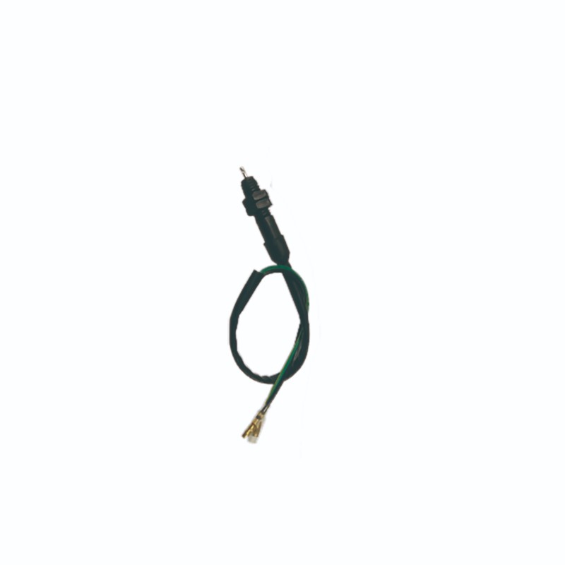 Brake switch-01