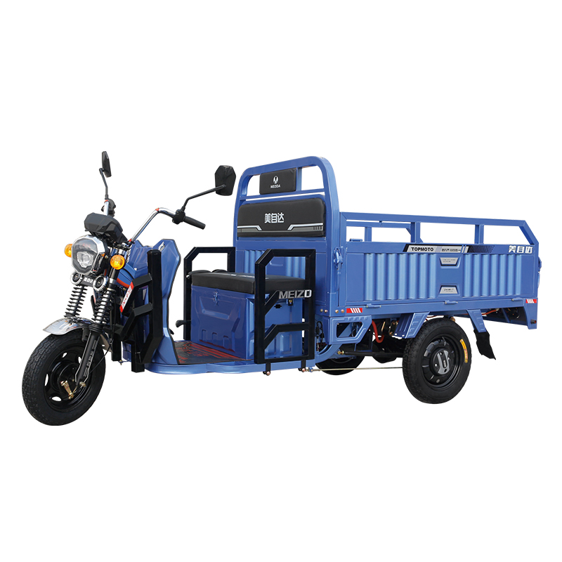Three electric vehicles 07